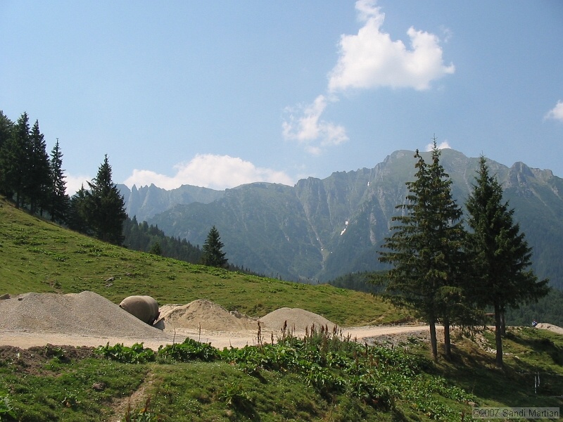 IMG_8258.jpg
