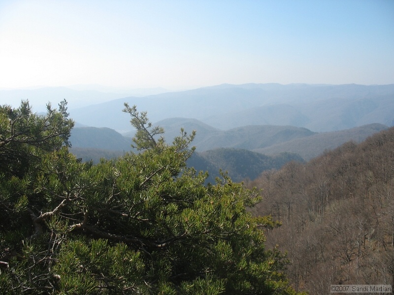 IMG_4371.jpg