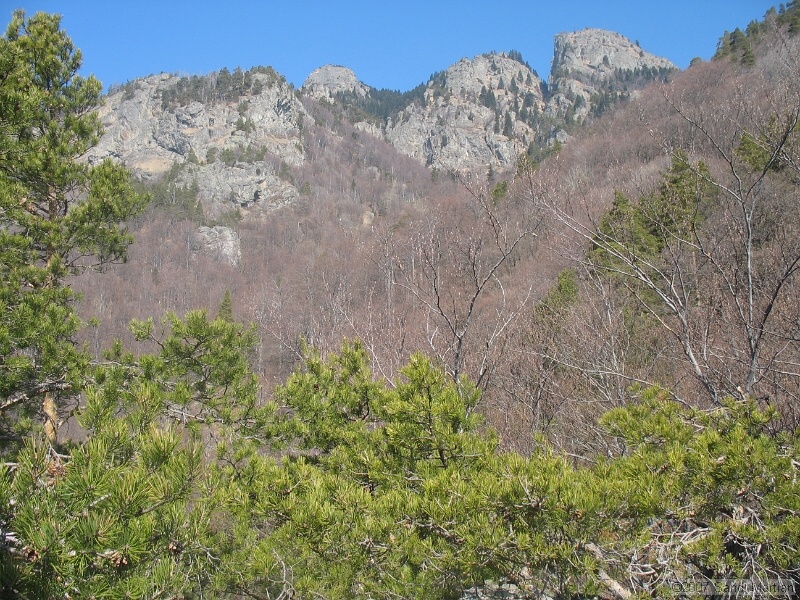 IMG_4377.jpg