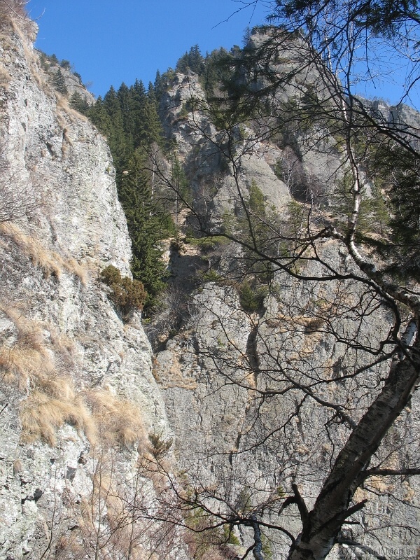 IMG_4387.jpg