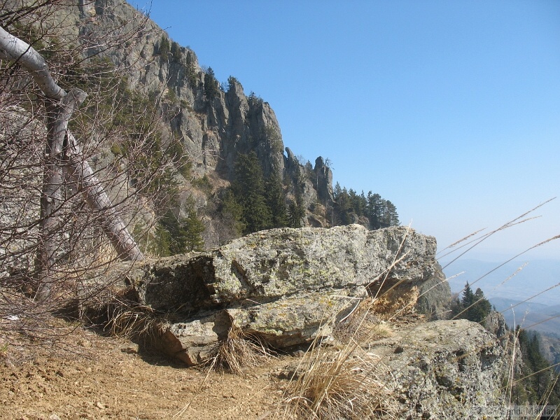 IMG_4394.jpg