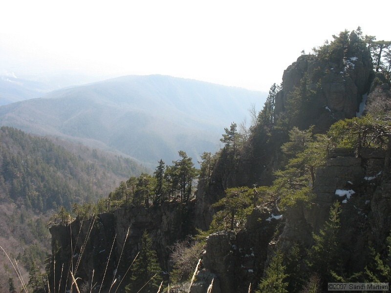 IMG_4396.jpg