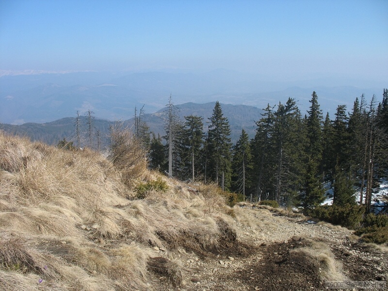 IMG_4414.jpg