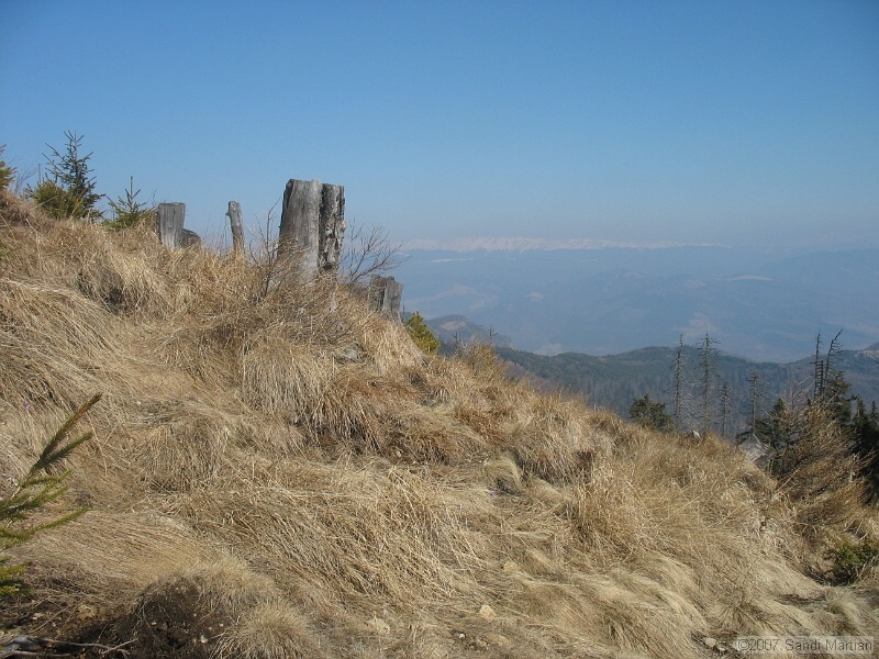 IMG_4416.jpg