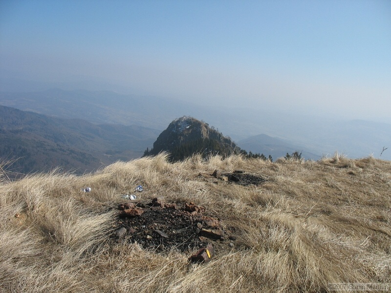 IMG_4424.jpg