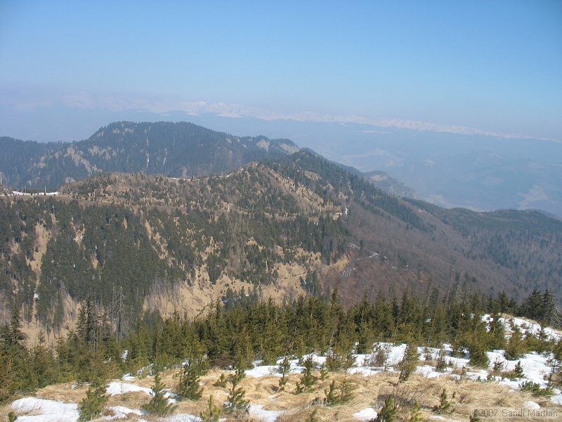 IMG_4425.jpg