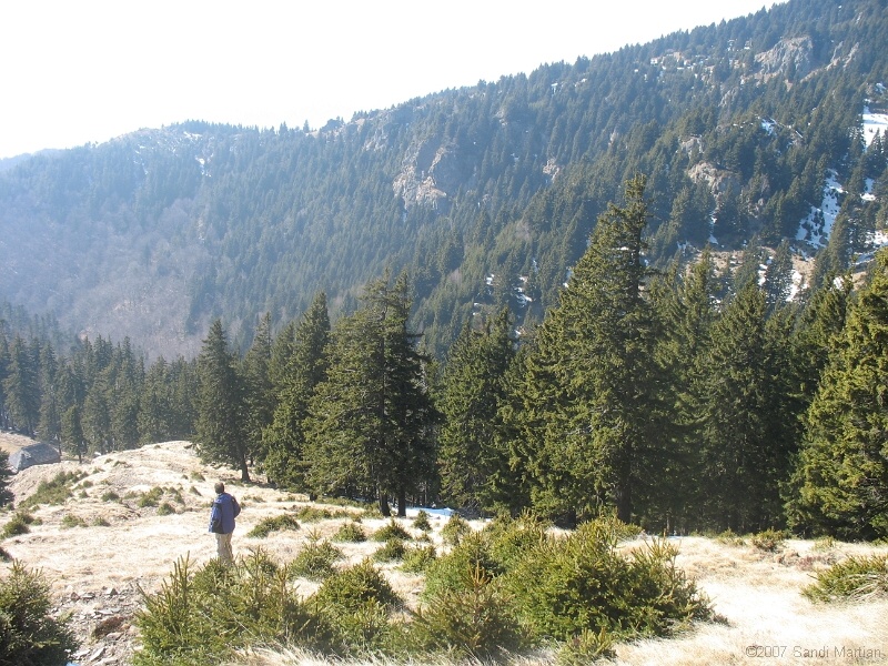 IMG_4428.jpg