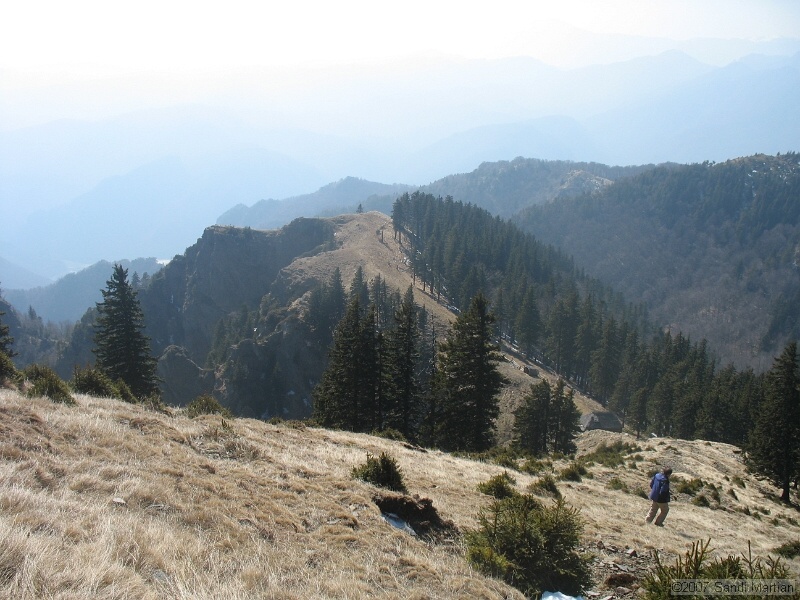 IMG_4429.jpg