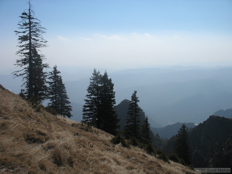 IMG_4430.jpg