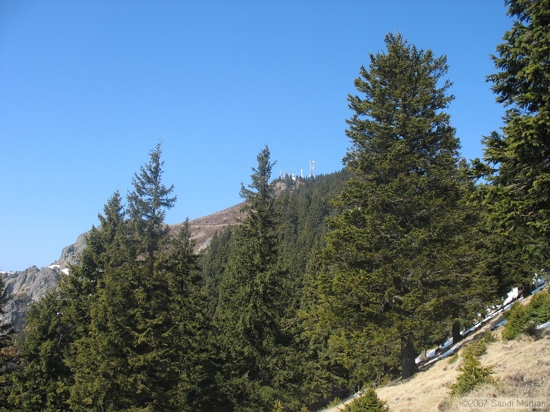 IMG_4432.jpg