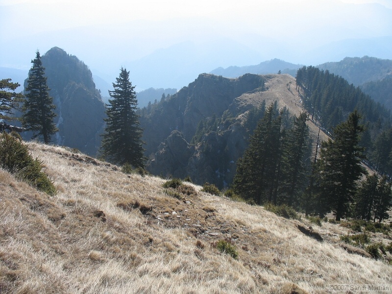 IMG_4433.jpg
