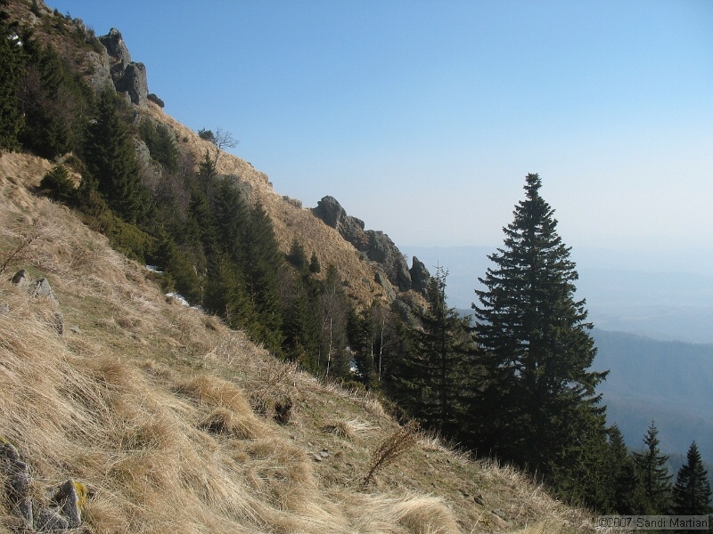 IMG_4434.jpg