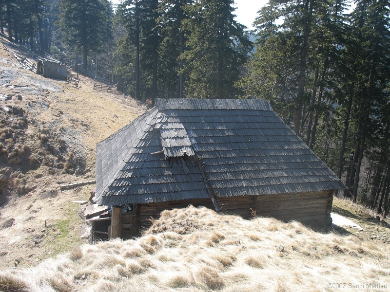 IMG_4435.jpg