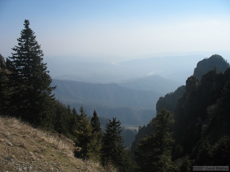 IMG_4438.jpg