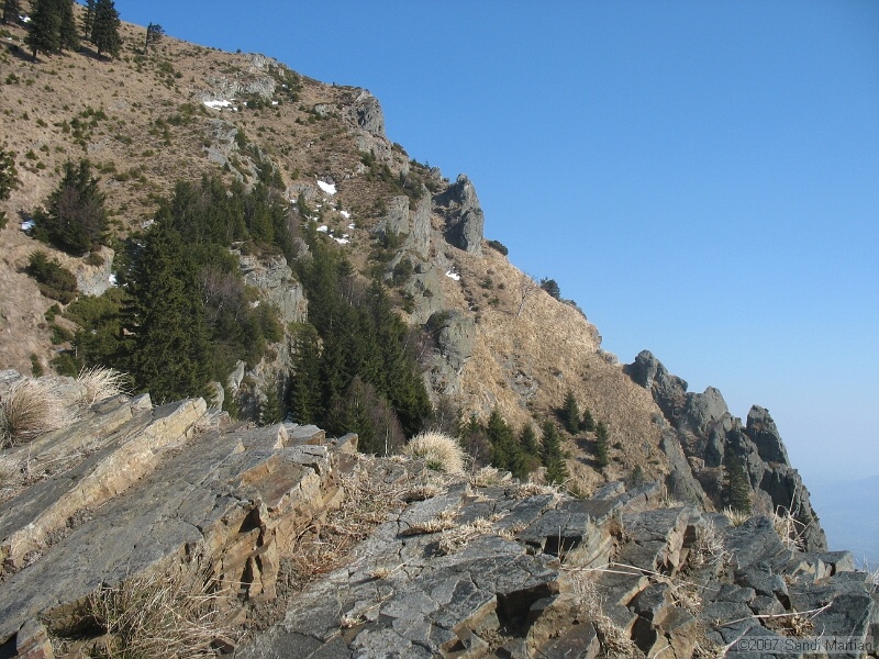 IMG_4441.jpg