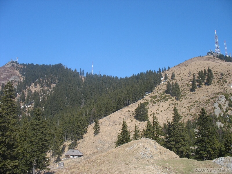 IMG_4442.jpg