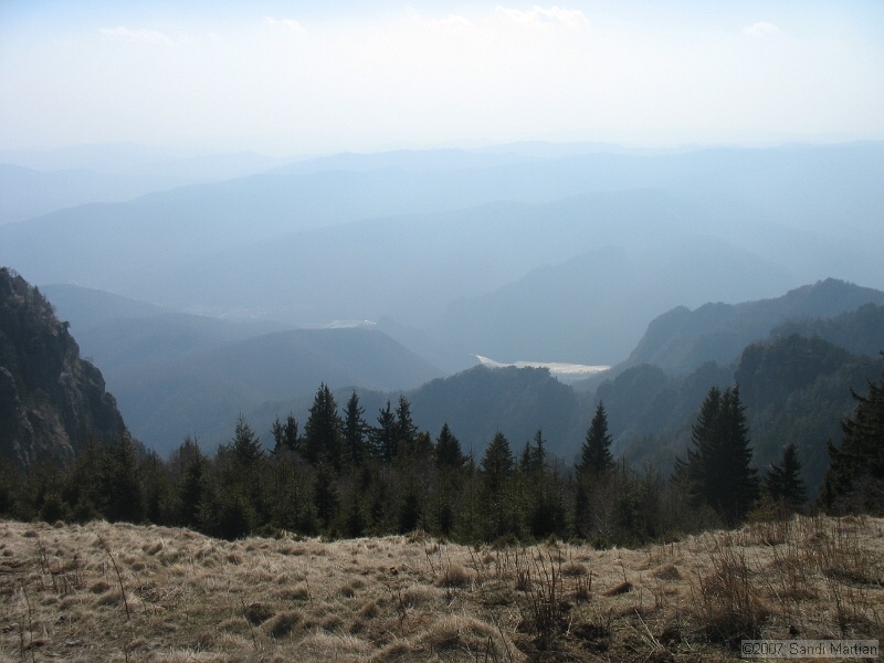 IMG_4443.jpg
