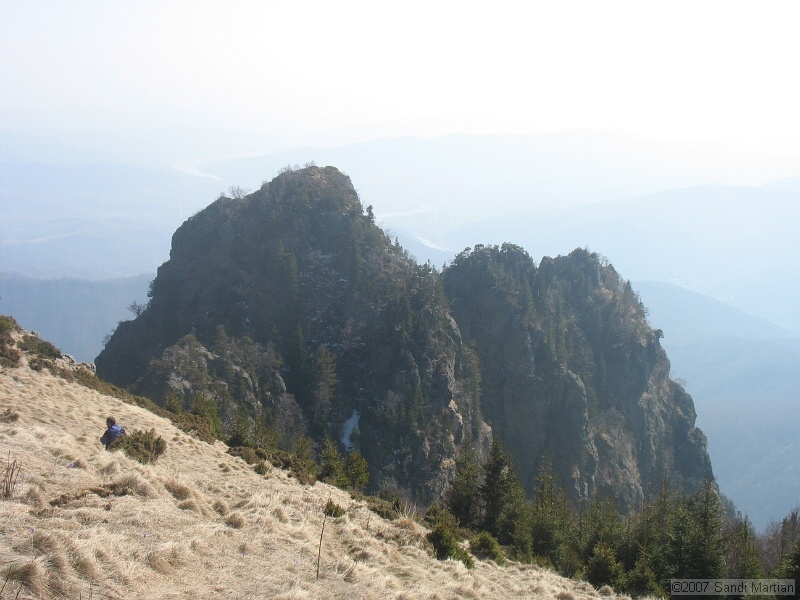 IMG_4444.jpg