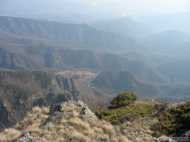 IMG_4456.jpg