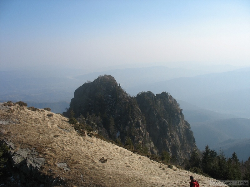 IMG_4461.jpg