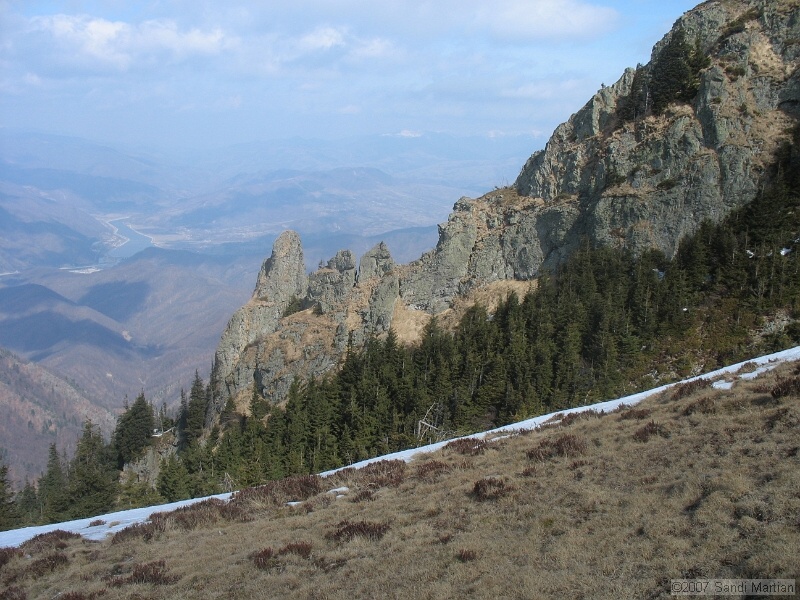 IMG_4485.jpg