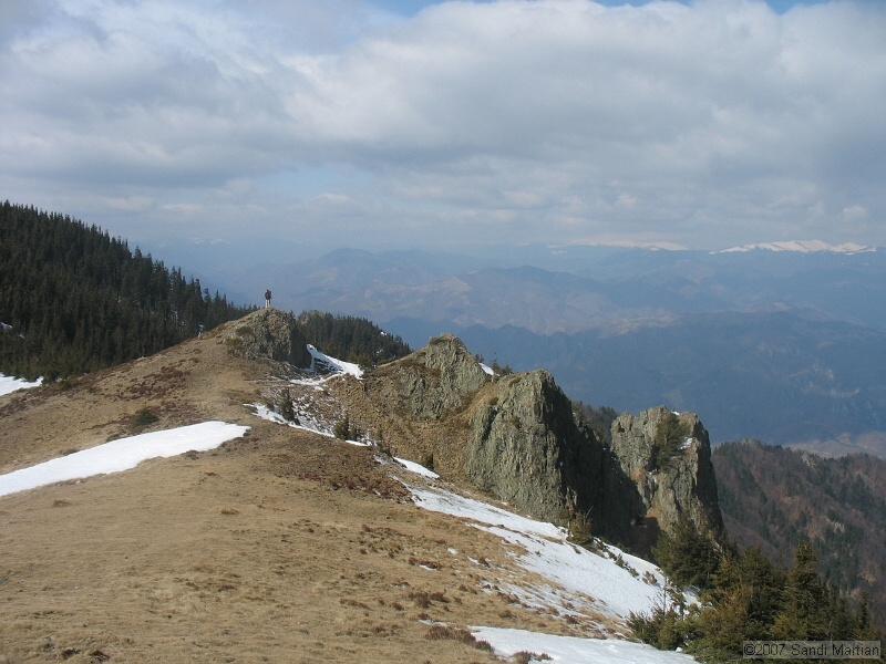 IMG_4486.jpg