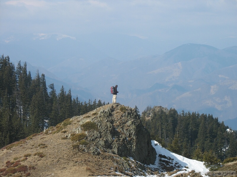 IMG_4487.jpg