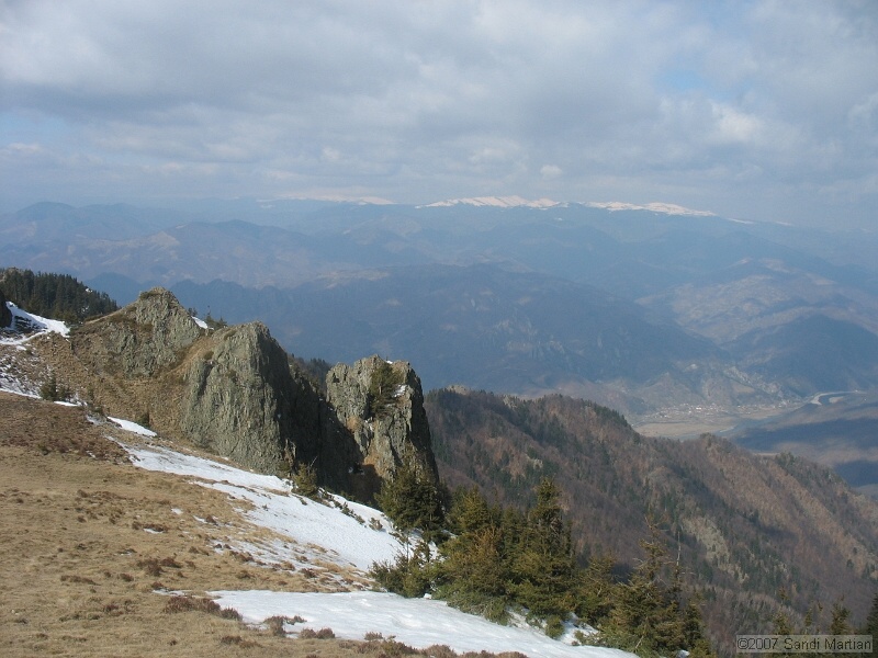 IMG_4488.jpg