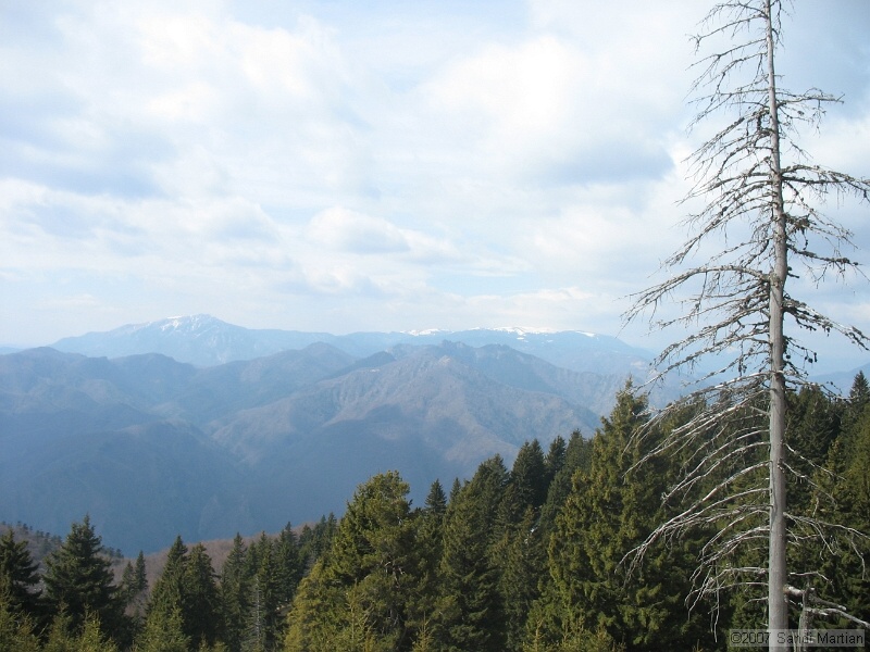 IMG_4493.jpg