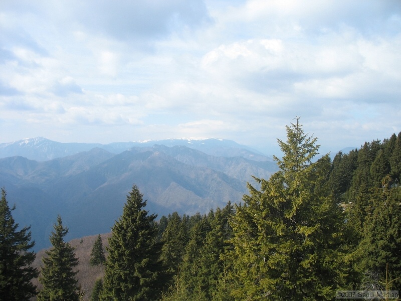 IMG_4496.jpg