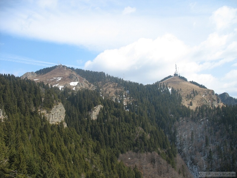 IMG_4502.jpg