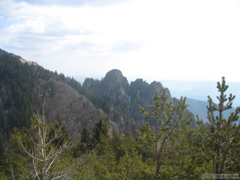 IMG_4505.jpg