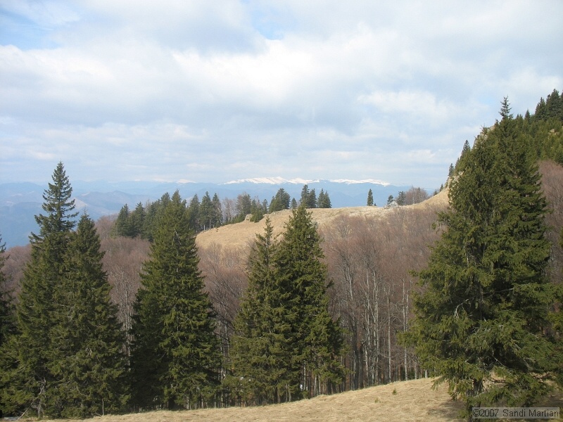 IMG_4515.jpg
