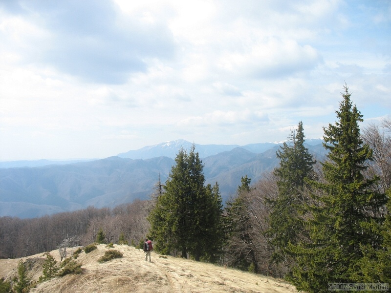 IMG_4519.jpg