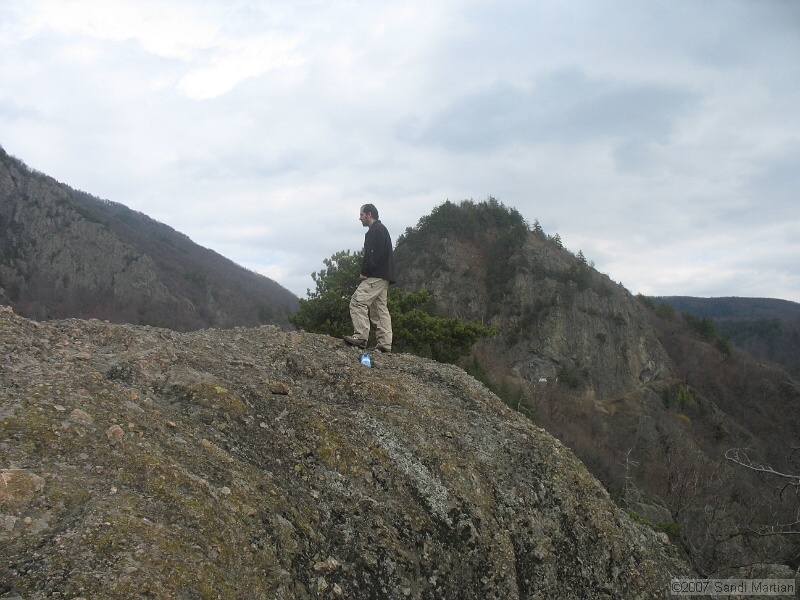 IMG_4524.jpg