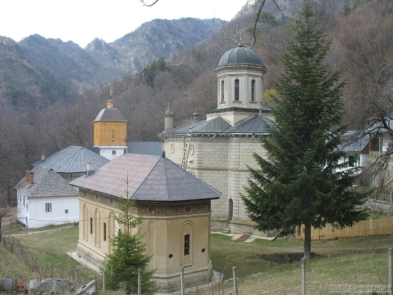 IMG_4532.jpg