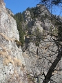 IMG_4387
