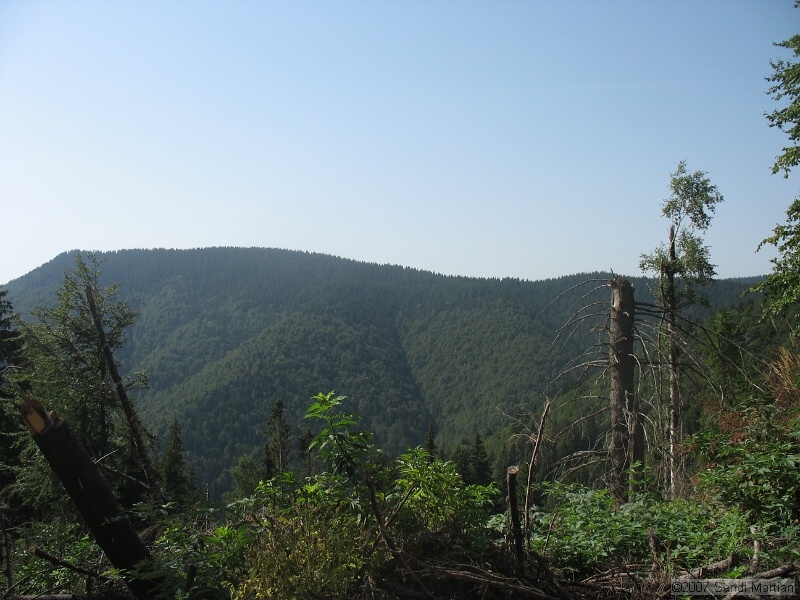 IMG_6535.jpg