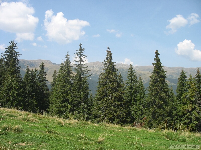 IMG_6538.jpg