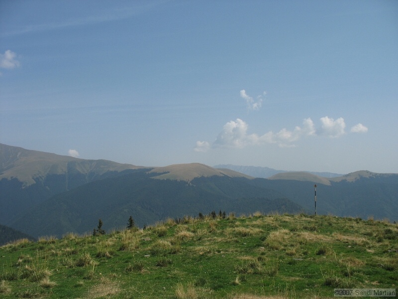 IMG_6541.jpg