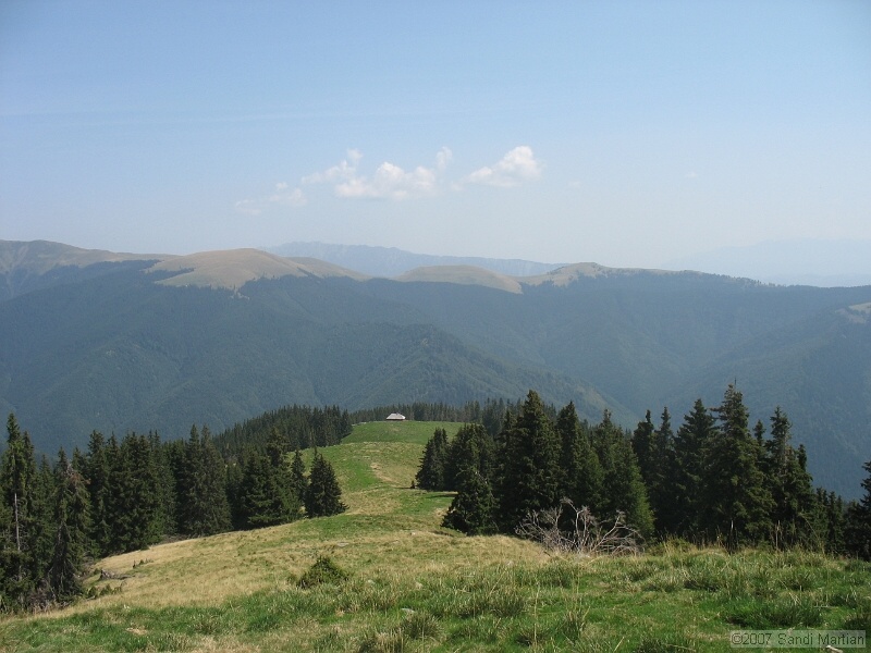 IMG_6542.jpg