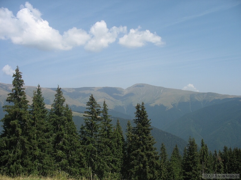 IMG_6543.jpg