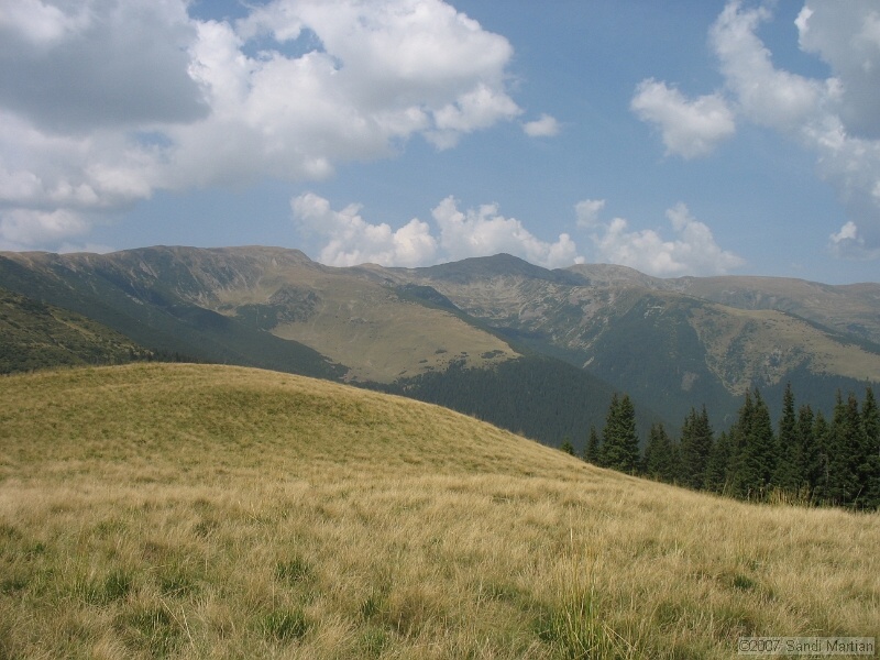 IMG_6544.jpg