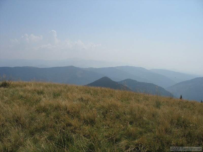 IMG_6545.jpg