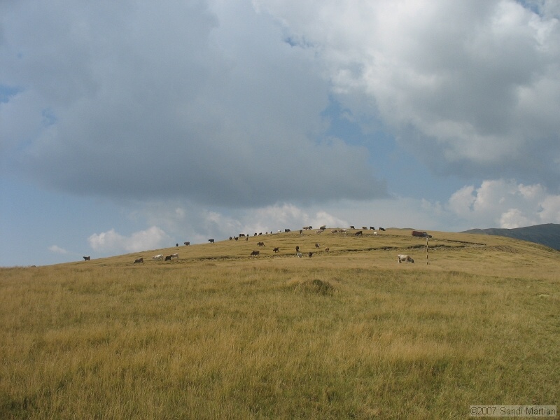 IMG_6548.jpg