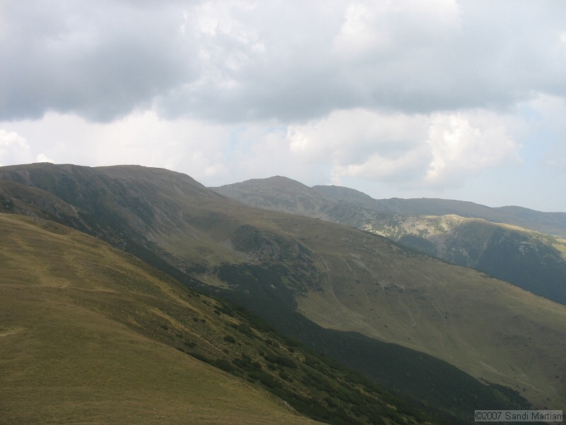 IMG_6553.jpg