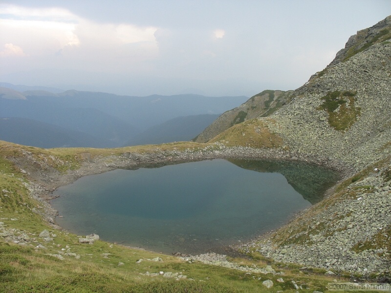 IMG_6561.jpg