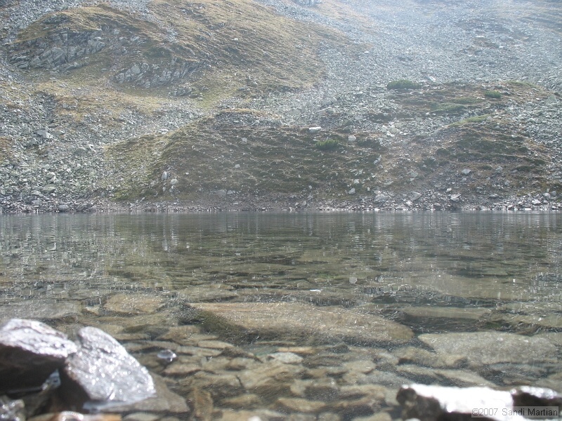 IMG_6569.jpg