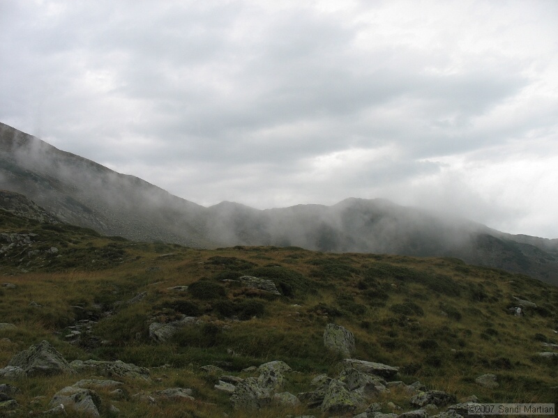 IMG_6605.jpg