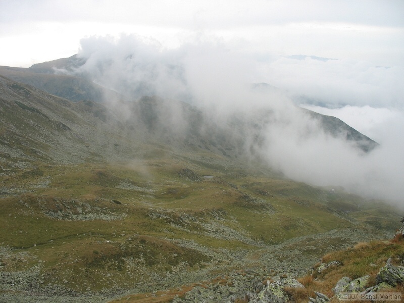 IMG_6608.jpg